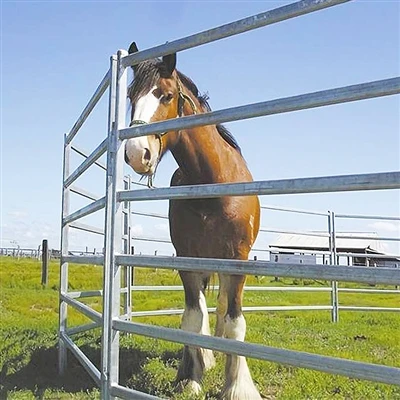 Funksjonen til storfe og hest gjerdebrett